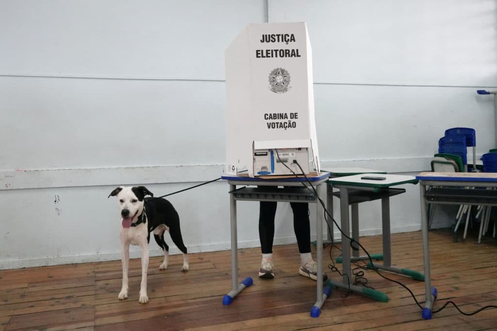 Brazilians vote in presidential election between Lula and Flávio Bolsonaro