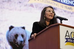Alaska Gov. Orders Criminal Probe Into Peltola Campaign Over Same-Name Candidate Scheme