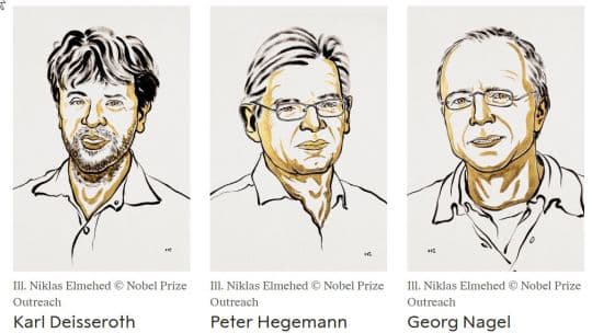 Premio Nobel de Medicina 2026 por desarrollo de optogenética
