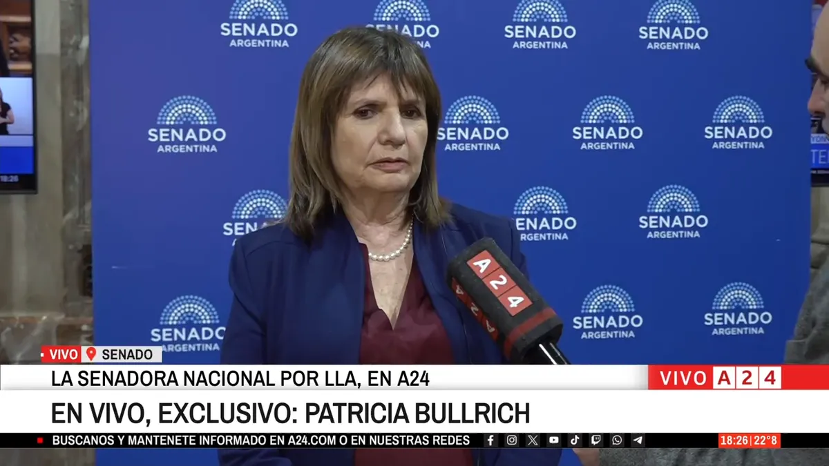 Bullrich critica cambios en Ley de Discapacidad no comunicados en mesa política