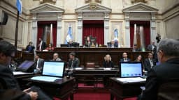 El Senado debate reforma de la Ley de Salud Mental y régimen de incentivos para inversiones