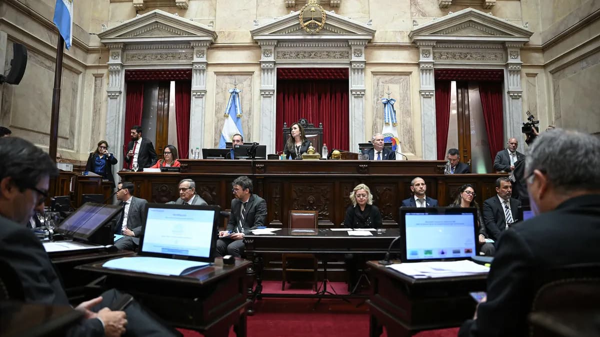 El Senado debate reforma de la Ley de Salud Mental y régimen de incentivos para inversiones