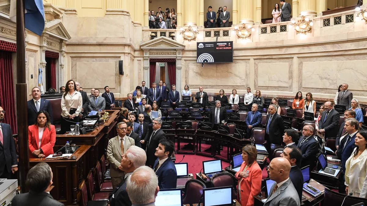 El Senado aprobó la reforma de la Ley de Salud Mental
