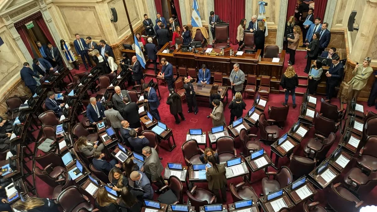 Senado debate reforma del Banco Central y régimen de Zonas Frías