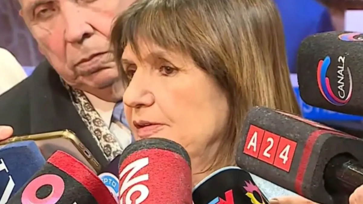Bullrich se distancia del Gobierno por recortes en discapacidad